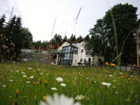 Gastinger Hotel-Restaurant in Schmiedefeld Am Rennsteig, Ilm-Kreis